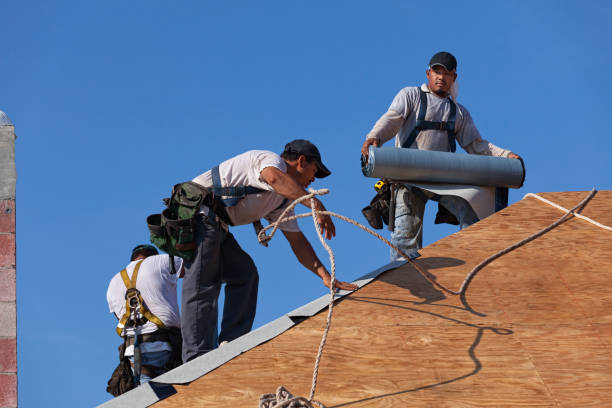 Gutter Installation and Roofing in Naples, TX