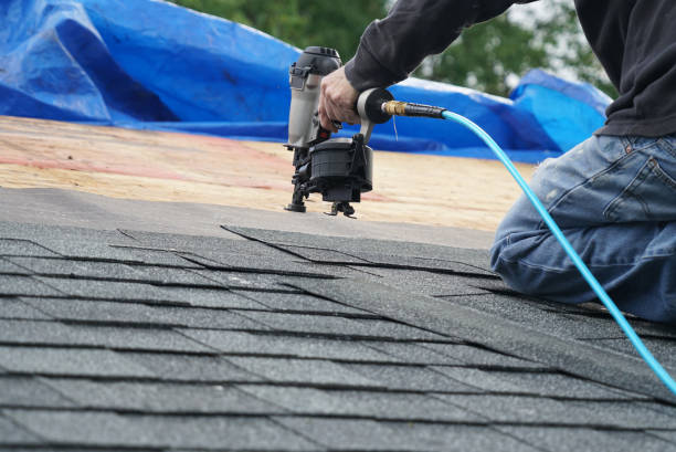 Best Storm Damage Roof Repair  in Naples, TX