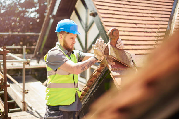 Quick and Trustworthy Emergency Roof Repair Services in Naples, TX